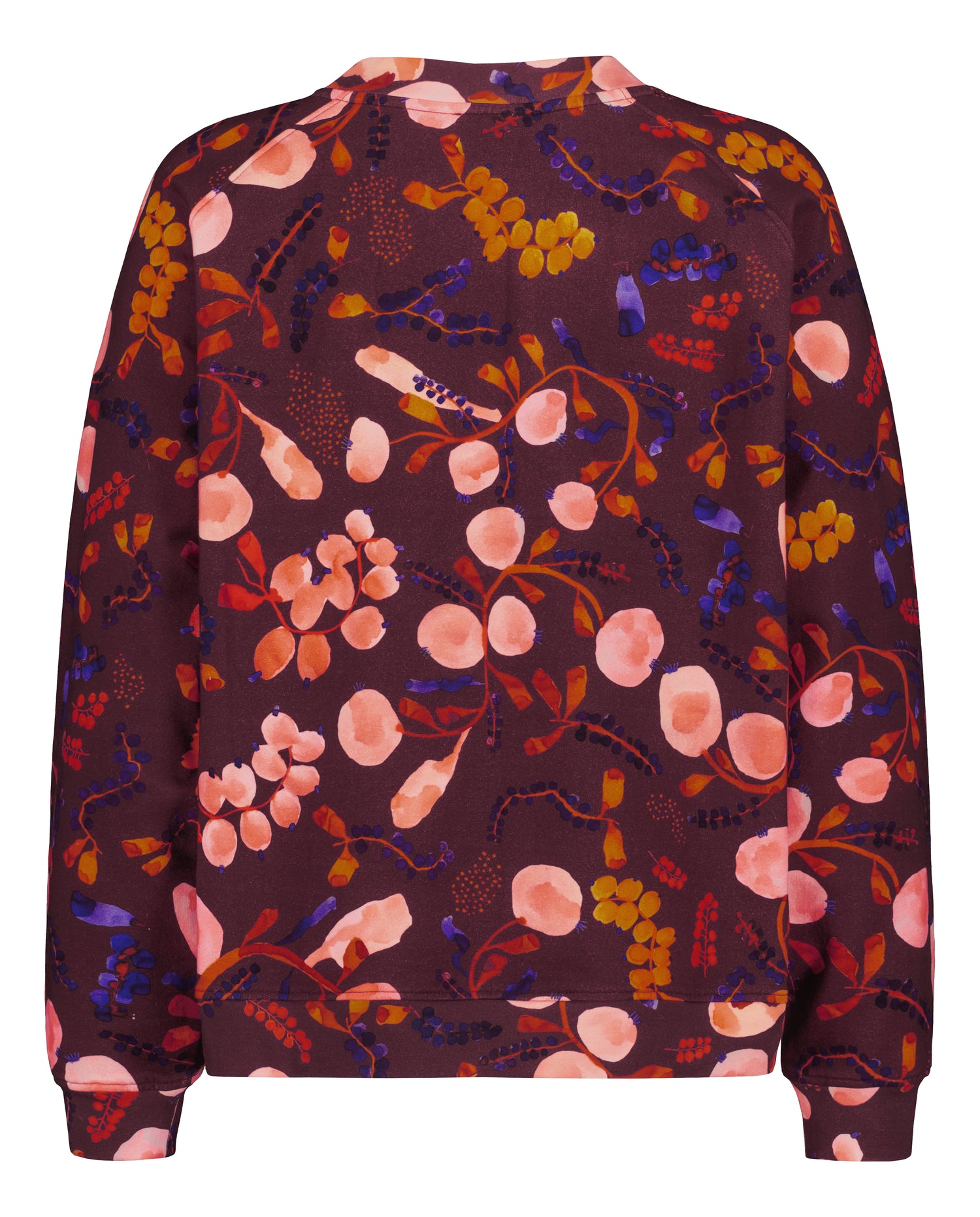 COLLEGE SWEATER, Berrycloud